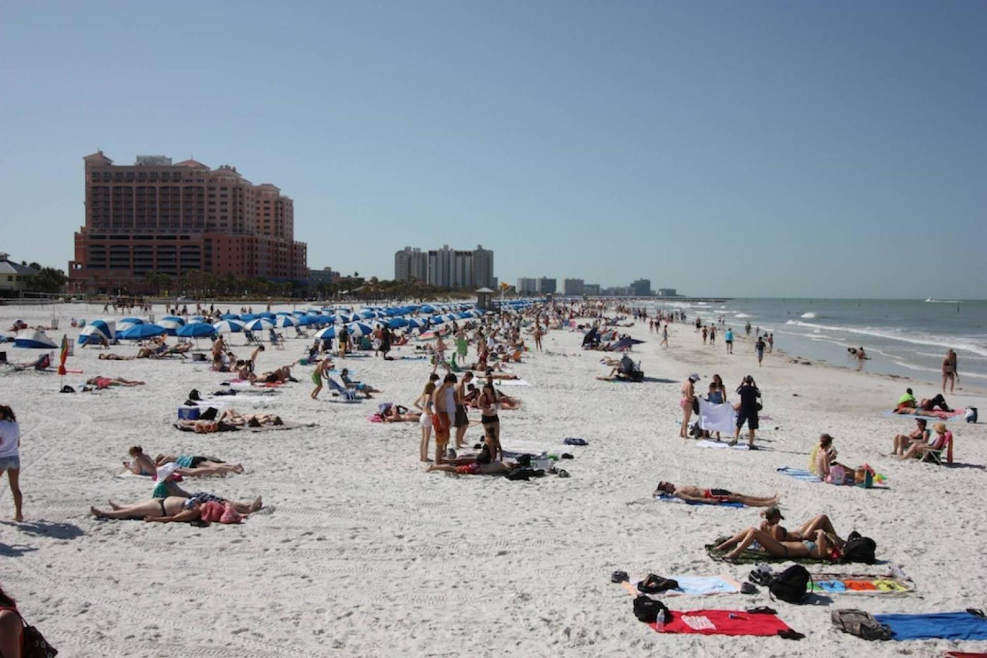 201 Belleair Beach Club 克利尔沃特 外观 照片